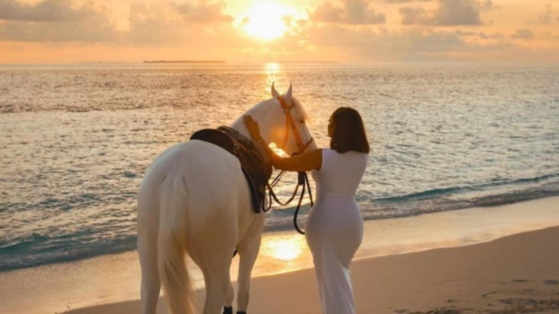 Beach Horse Riding